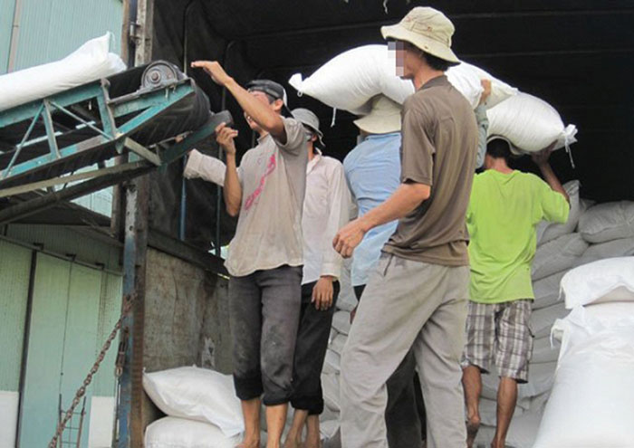 Thuê bốc vác tại Quảng Ninh ở đâu rẻ