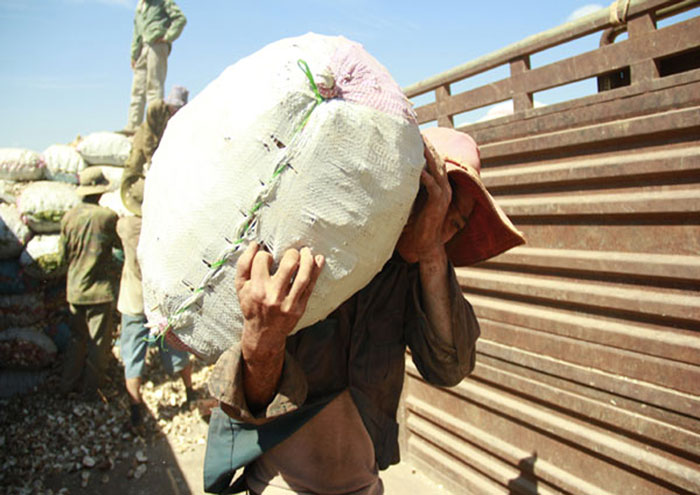 Thuê bốc vác tại Quảng Ninh