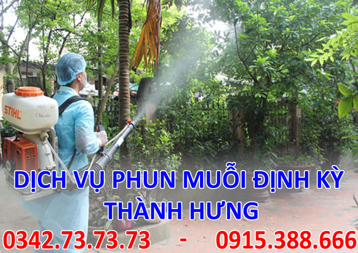 Dịch vụ phun muỗi định kỳ tại Hà Nội
