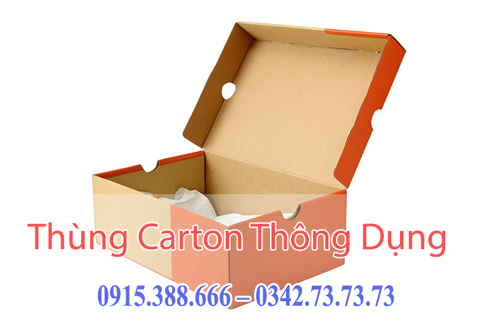 Hộp Carton Đựng Giày