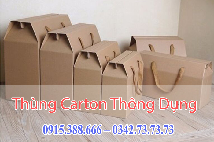 Thùng carton có quai xách