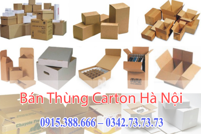 Mua Bán Thùng Carton Hà Nội Uy Tín, Giá R�? width=