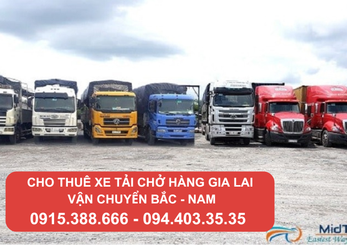 cho-thue-xe-tai-cho-hang-gia-lai hệ thống xe tải chở hàng